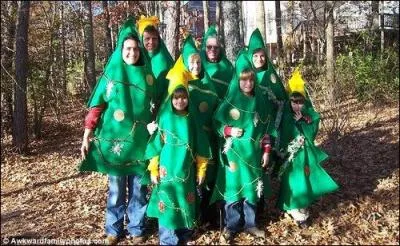 Quelle est la taille maximale d'un sapin ?