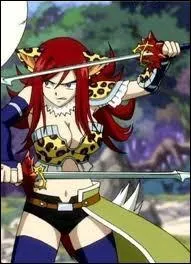 Quelle est cette armure ?