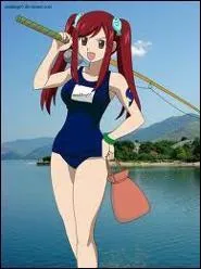 Quelle est cette armure ?