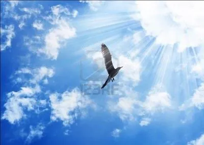 Quelle lettre faut-il placer devant  ole  pour lire le titre d'une chanson de Cline Dion o elle dit :  Ma douce, mon hirondelle va-t-en loin, va-t-en sereine, qu'ici rien ne te retienne, rejoins le ciel et l'ther  ?