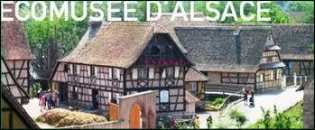 Je vais vous faire dcouvrir l'comuse d'Alsace. Pour cela, nous devons nous rendre  ...