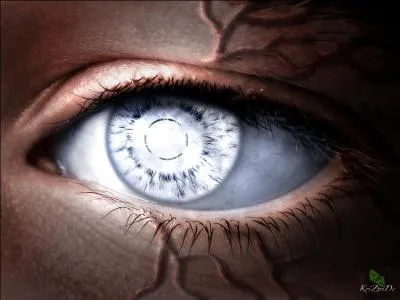  quel clan appartient-il ?