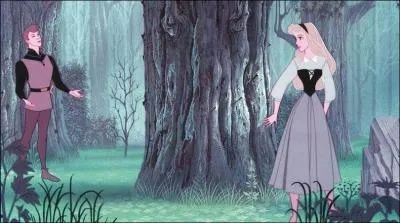 Comment s'appelle le prince d'Aurore ?