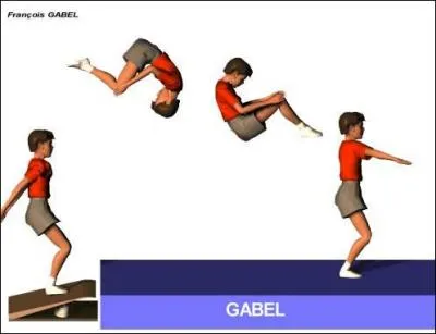 Comment s'appelle cette figure ?