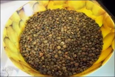 Quand faut-il saler les lentilles ?