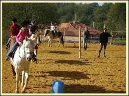 Quelle protection est obligatoire  cheval ?