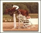 Quel est le nom de cet obstacle ?