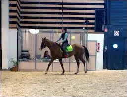 De quel ct faut-il monter ?