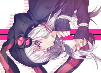 Qui est ce vocaloid ?