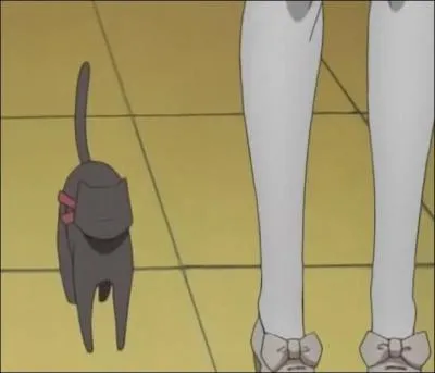 Quel est le nom du chaton noir d'Ada ?