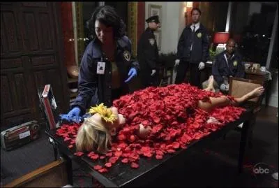 La rencontre entre les deux personnages se fait  l'occasion de ce crime, dans l'pisode pilote, un crime trs  fleuri , ici en illustration. Pour quelle raison ?