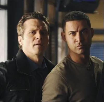 Ce tandem de travail, ce sont les subordonns de Kate Beckett. L'un est d'origine hispanique, et se nomme Esposito, l'autre est d'origine irlandaise et se nomme Ryan. Mais quels sont leurs prnoms ?