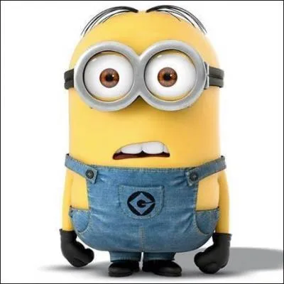 Quel est ce personnage ?