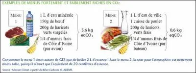 Maintenant par quoi vais-je remplacer cette viande ? (regardez l'image pour avoir une ide de ce que vous pouvez faire)