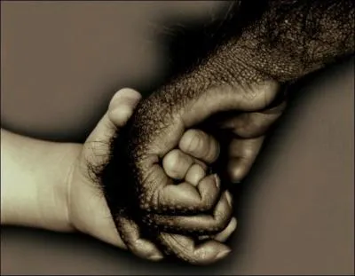 Quelle huile faut-il arrter de consommer, et donc vrifier les tiquettes, pour sauver les orangs-outans de Borno et de Sumatra ?