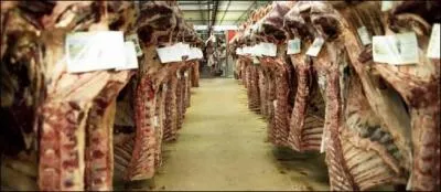 Mais puisqu'il faut insister pourquoi cette fort est-elle dtruite ?