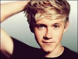 Que Niall n'aimait-il pas chez lui ?