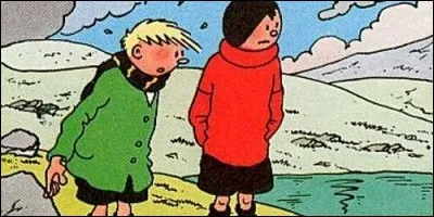 Qui sont ces deux garnements insupportables, toujours prêts à commettre la moindre bêtise ?