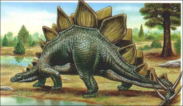 Quizz Les dinosaures Quiz Dinosaures quizz