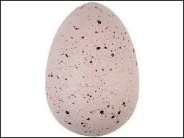 Quel est le poids moyen des plus gros oeufs de dinosaures dcouverts ?