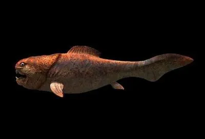 Cet ancien monstre marin est un Cymbospondylus.