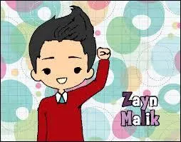 Quel est le pays prfr de Zayn ?