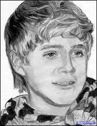 Comment Niall voulait-il nommer le groupe  X Factor ?