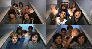 Combien de video diaries les One Direction ont-ils faites ?