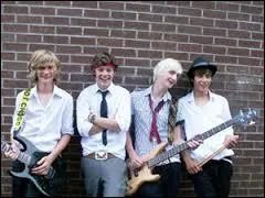 Comment s'appelait l'ancien groupe d'Harry ?