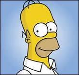 Quiz Simpson