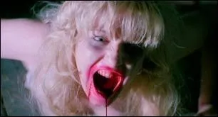 Quel est ce plan et qui est le ralisateur ?