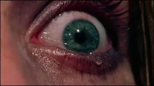 Quel est ce plan et qui est le ralisateur ?