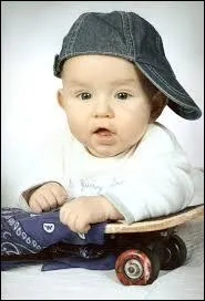 Si quelqu'un vous dit que vous tes un  Twit , il vous prend pour un :