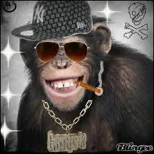 Si quelqu'un vous dit que vous tes un  Night-owl , il vous prend pour un :