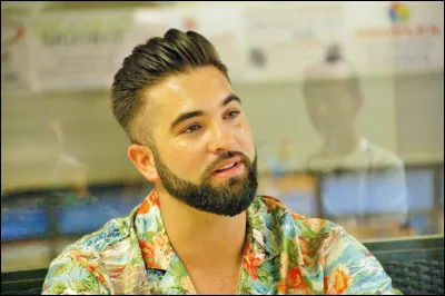 Qui est ce chanteur ?