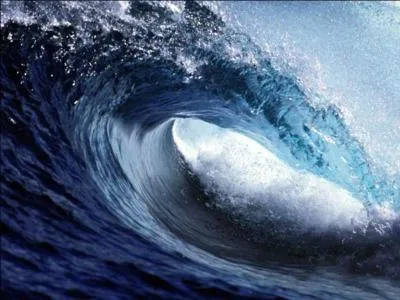 Praia do Norte au Portugal est le rve de tous les surfeurs, c'est la vague la plus gigantesque du monde. quelle peut tre sa hauteur ?