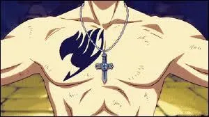 Comment s'appelle le collier que porte Grey ?