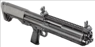 Quel est le nom de cette arme ?