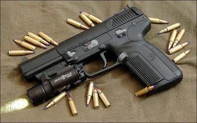 Quel est le nom de cette arme ?