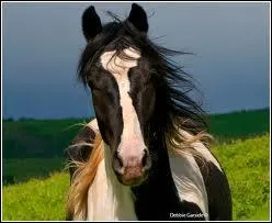 Que signifie :  Abaisser la ceinture  ?