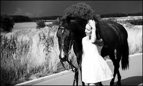 Que signifie l'expression :  Avoir une fivre de cheval  ?