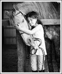 Que signifie l'expression :  Etre  cheval sur...   ?