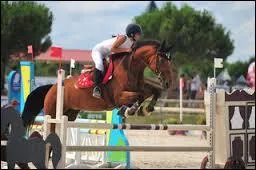 Et pour la georgette ?