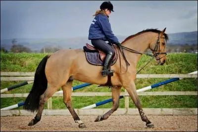 Quand le moniteur dit :  Marchez large !   que cela signifie-t-il ?