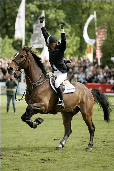 Qu'est-ce qu'une transition ?