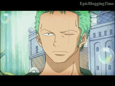 Quelle est l'activit prfre de Zoro ? [Plusieurs rponses]