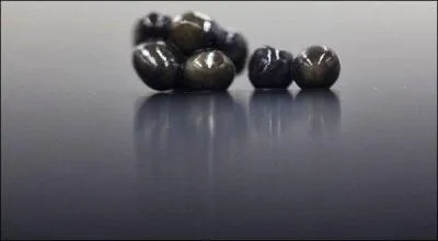 Le caviar d'esturgeons sauvages est... ?