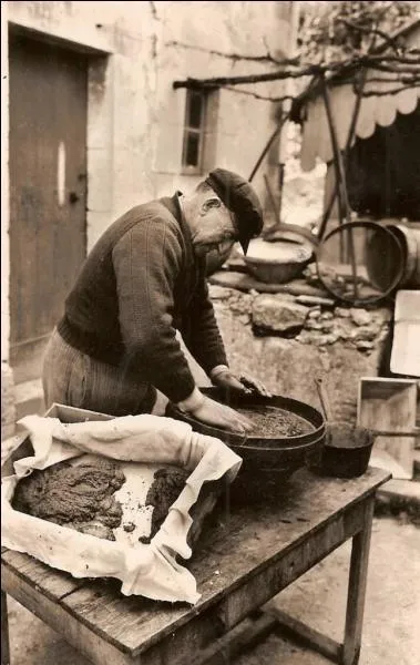 Aprs la rcupration des oeufs dans le ventre de la maman, la tradition voulait qu'on les tamise avec... ?