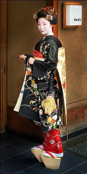 Les geishas tiennent beaucoup  leurs kimonos. Ce sont de vritables oeuvres d'art cotant une fortune. Cousus mains, leurs motifs rappellent les ...