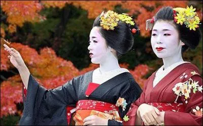 Une geisha est la grande soeur d'une apprentie. Une okiya (maison de geishas) est donc organise en hirarchie, dans laquelle les femmes ...